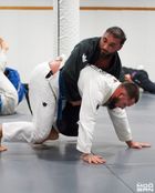 Jiu-Jitsu Modern Logo