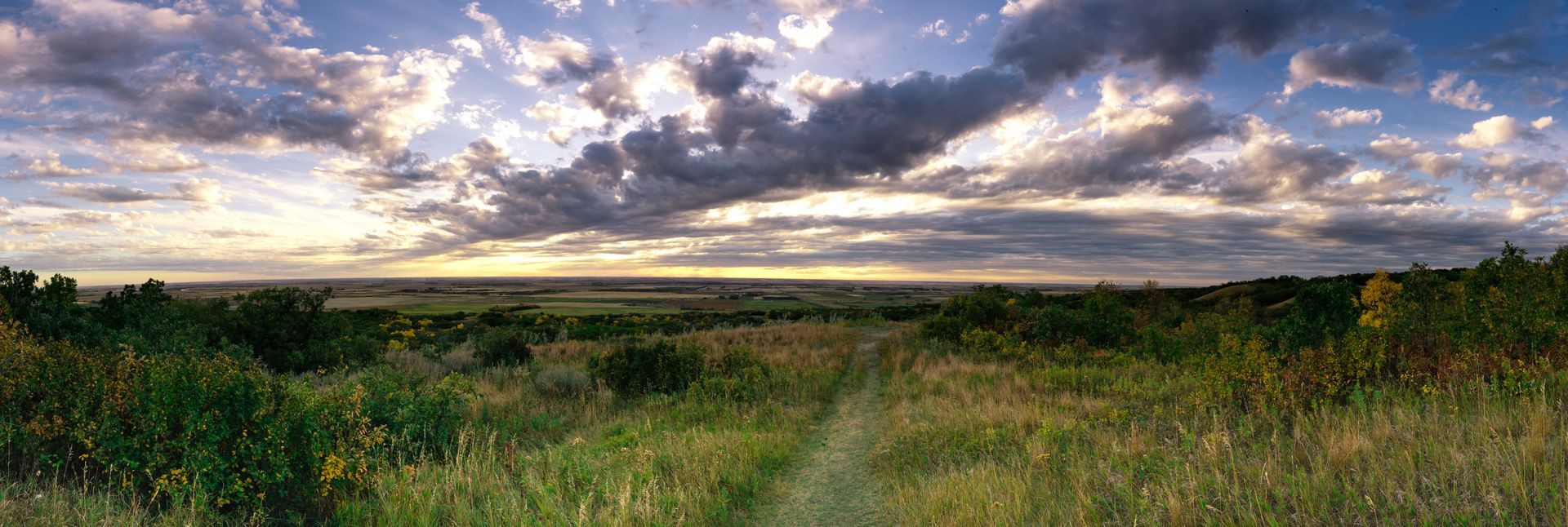 Panoramic view of a grassy meadow under a dramatic cloudy sunset sky