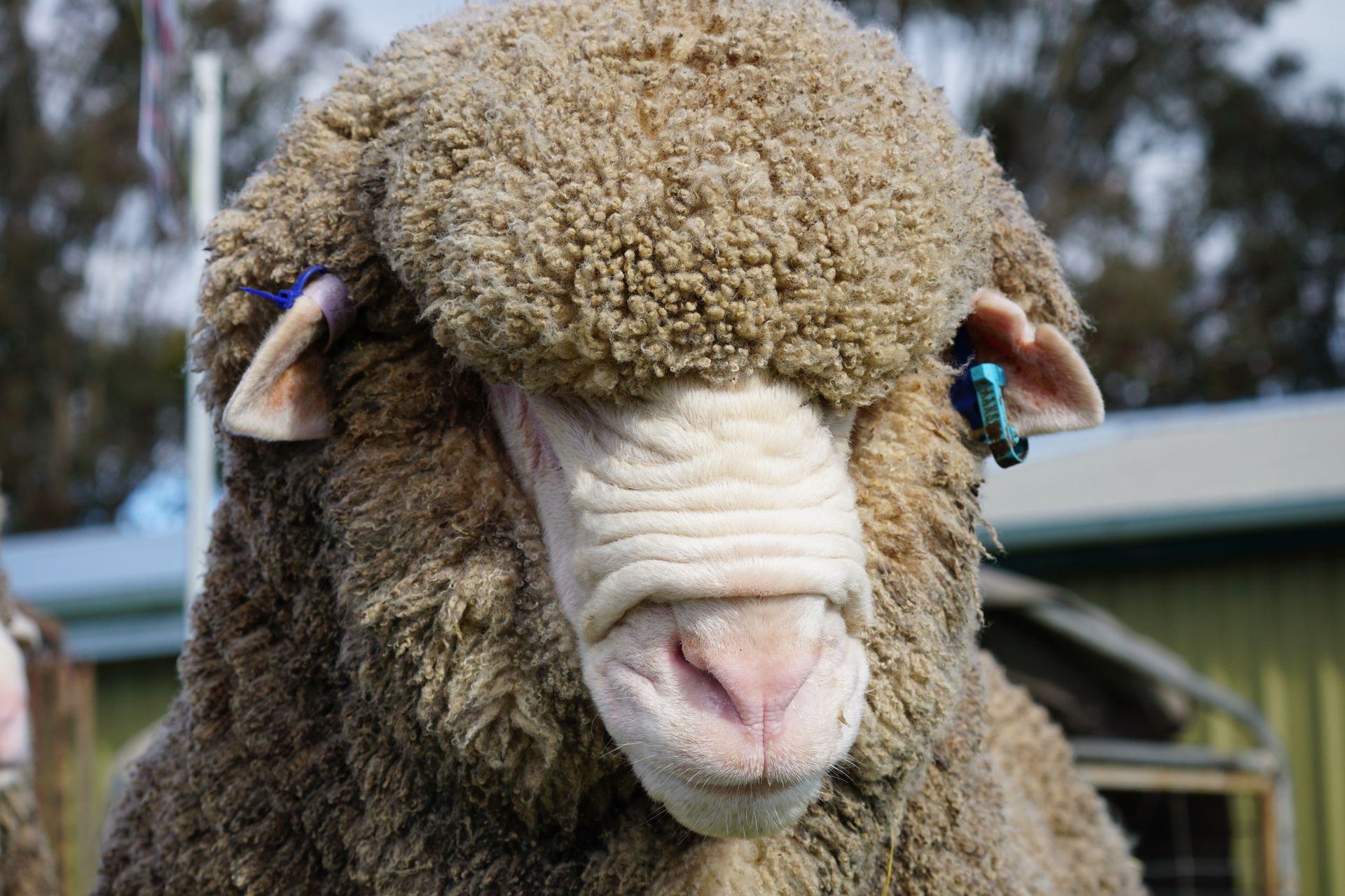 2021 Ram Sale