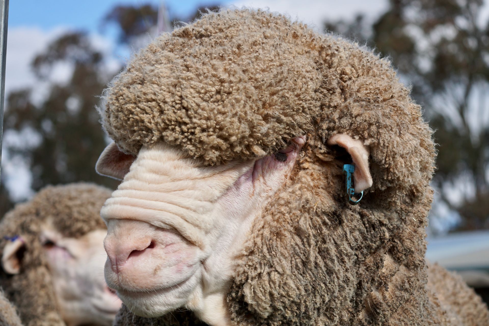 2021 Ram Sale