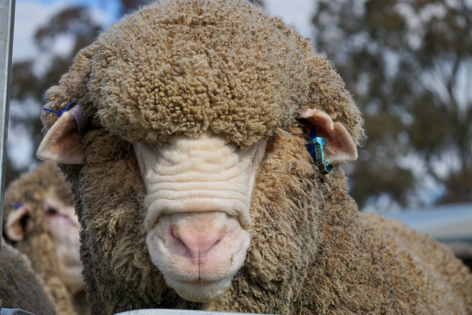 2021 Ram Sale