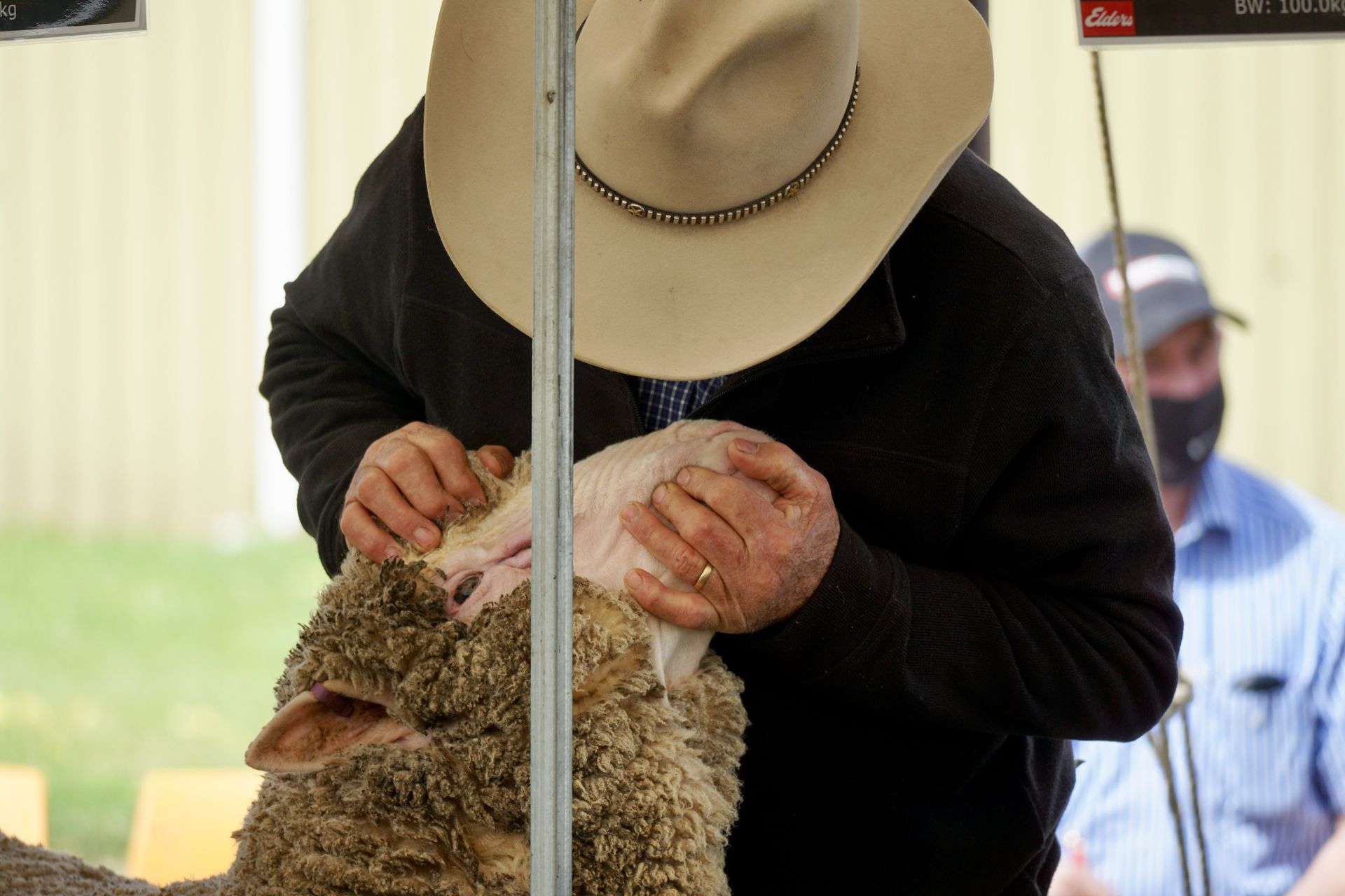 2021 Ram Sale