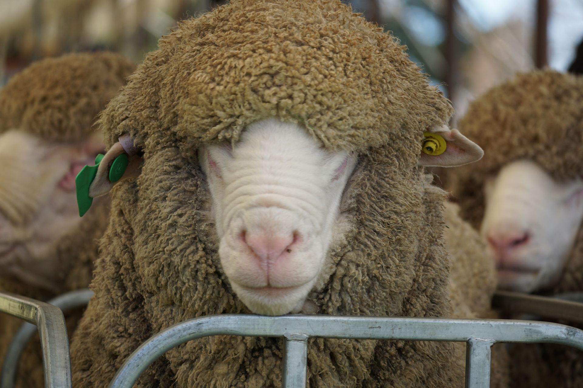 2021 Ram Sale