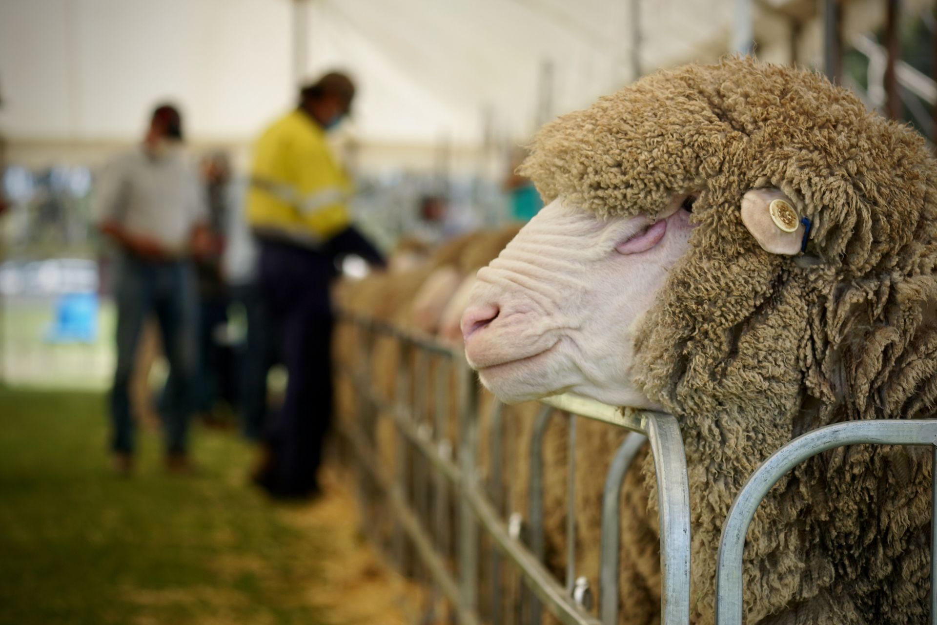2021 Ram Sale