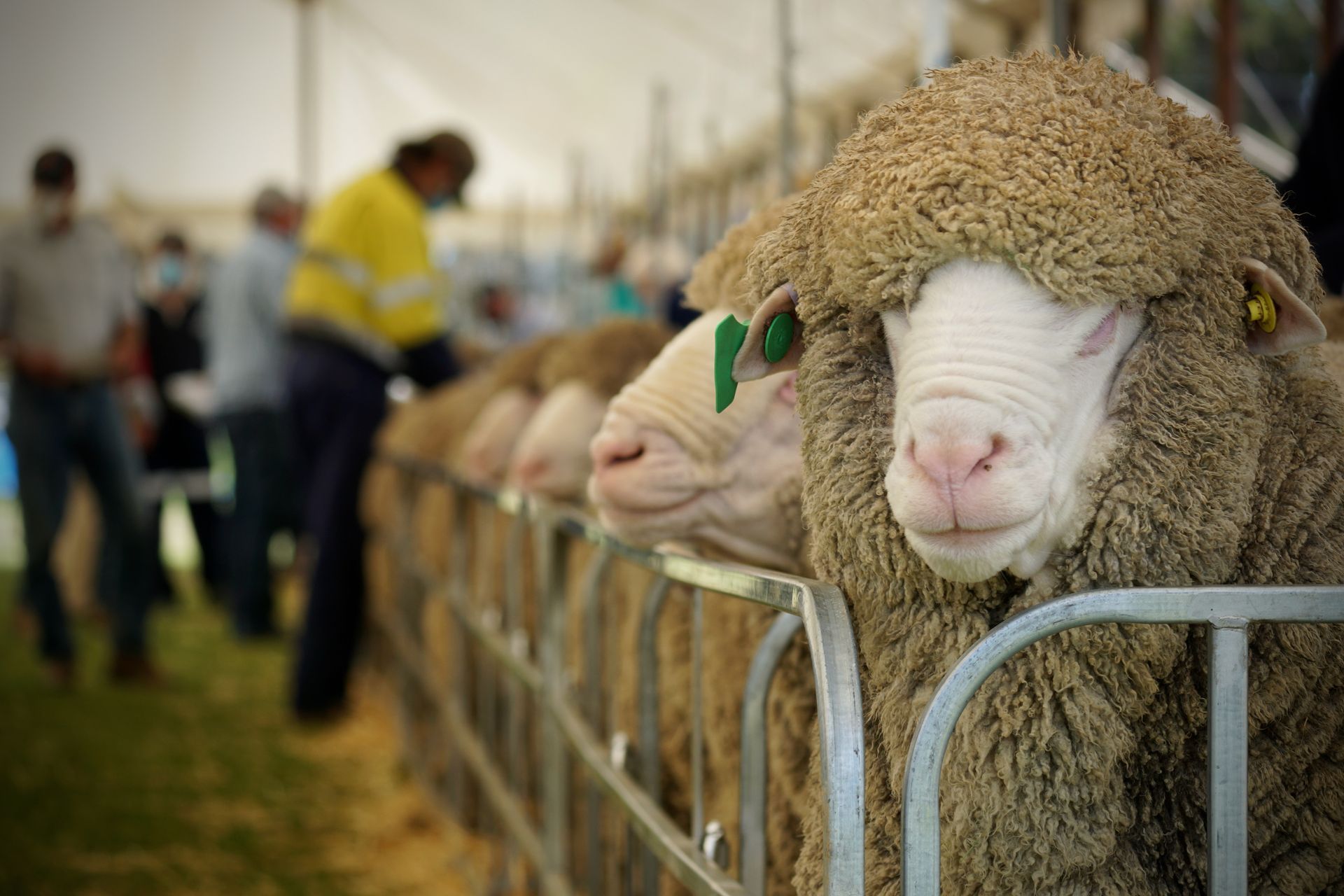 2021 Ram Sale