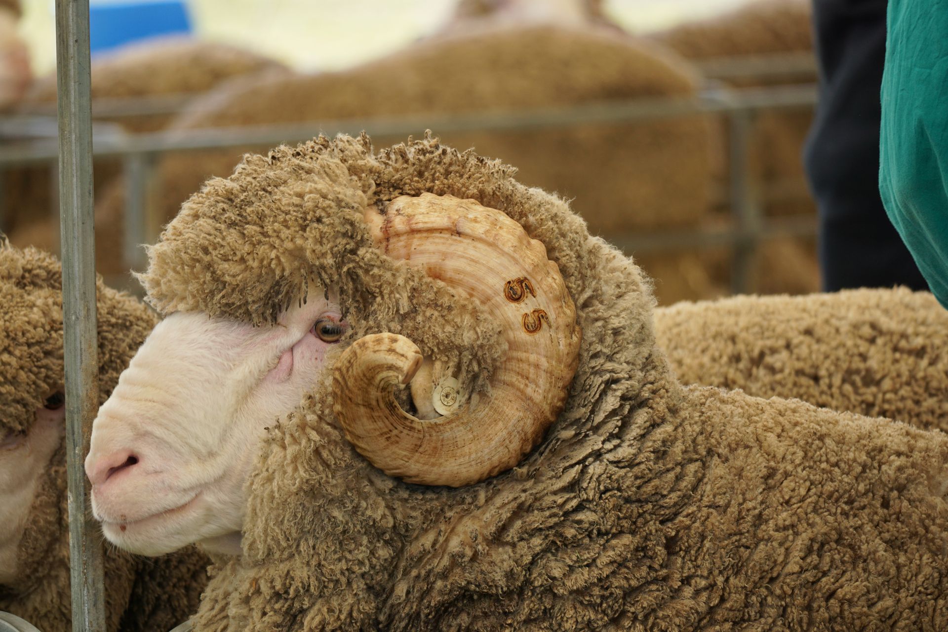 2021 Ram Sale