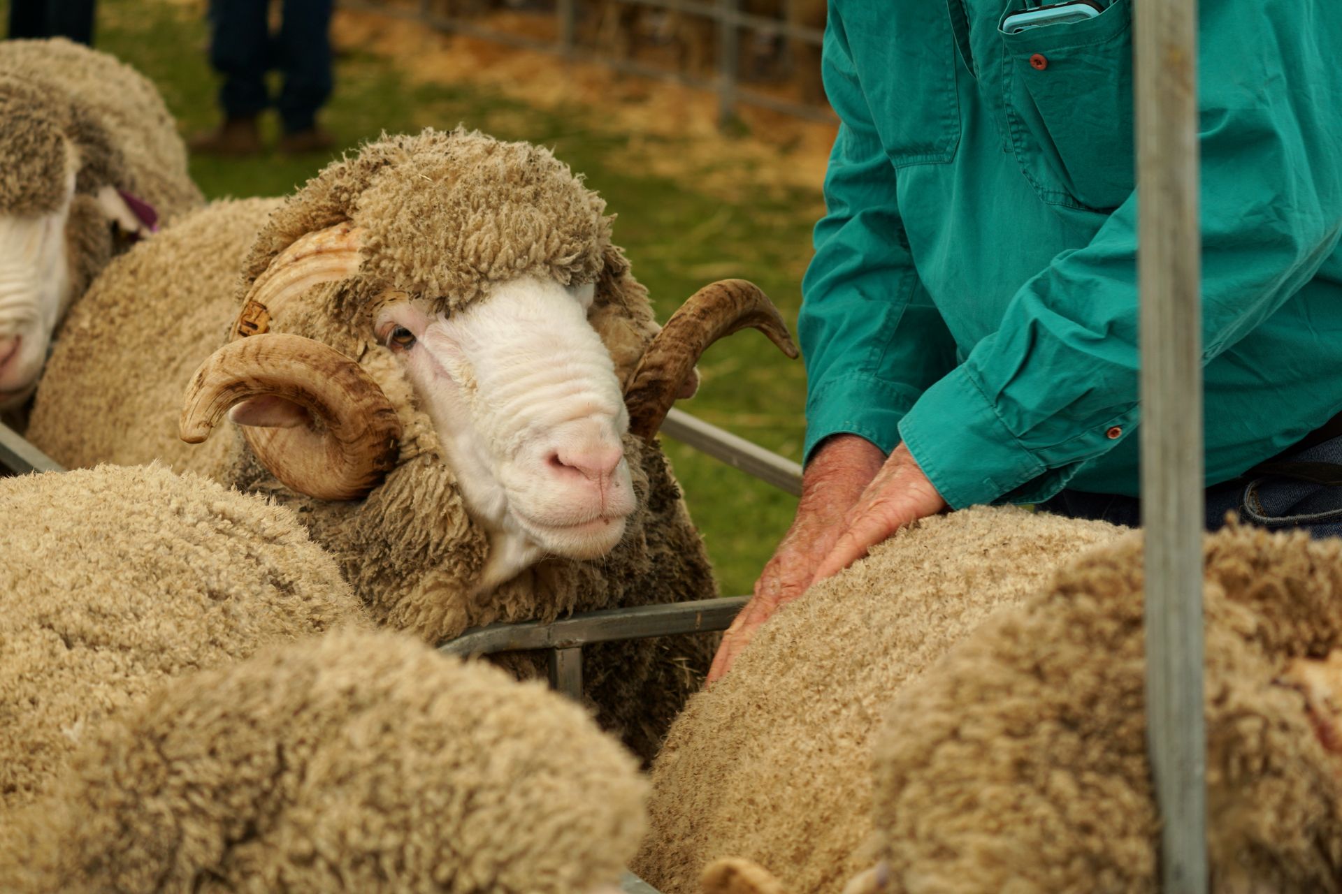 2021 Ram Sale