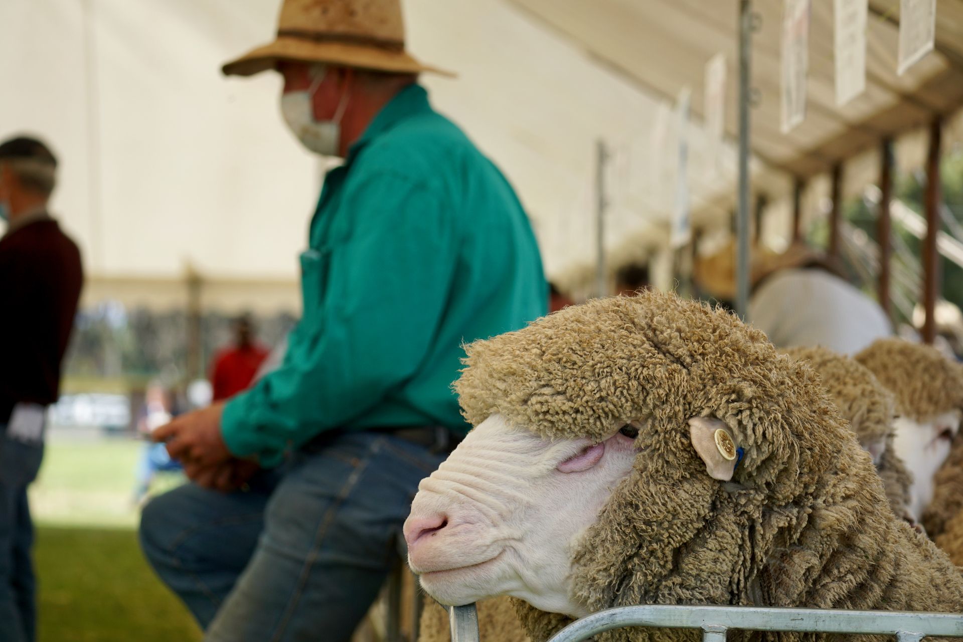 2021 Ram Sale