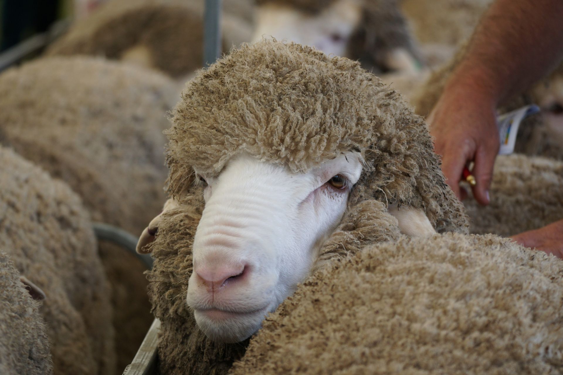 2021 Ram Sale