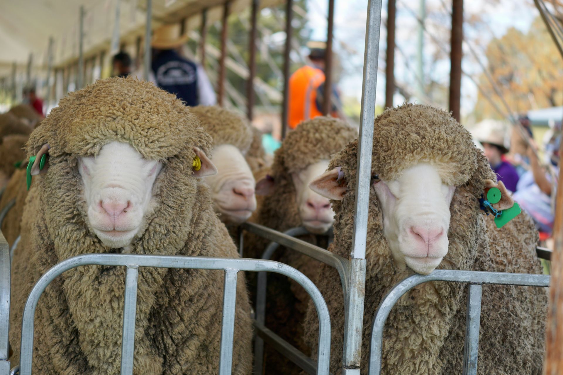 2021 Ram Sale