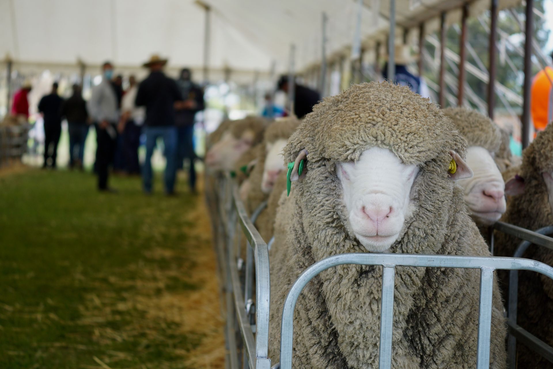 2021 Ram Sale