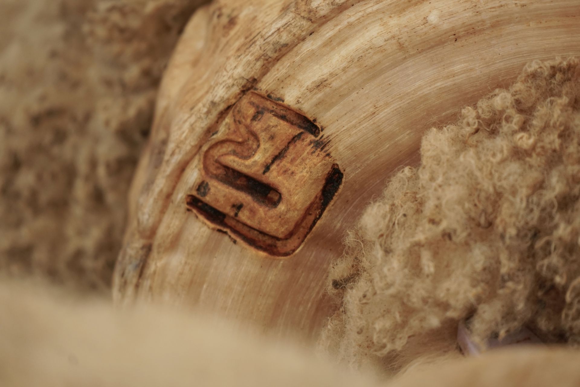 2021 Ram Sale