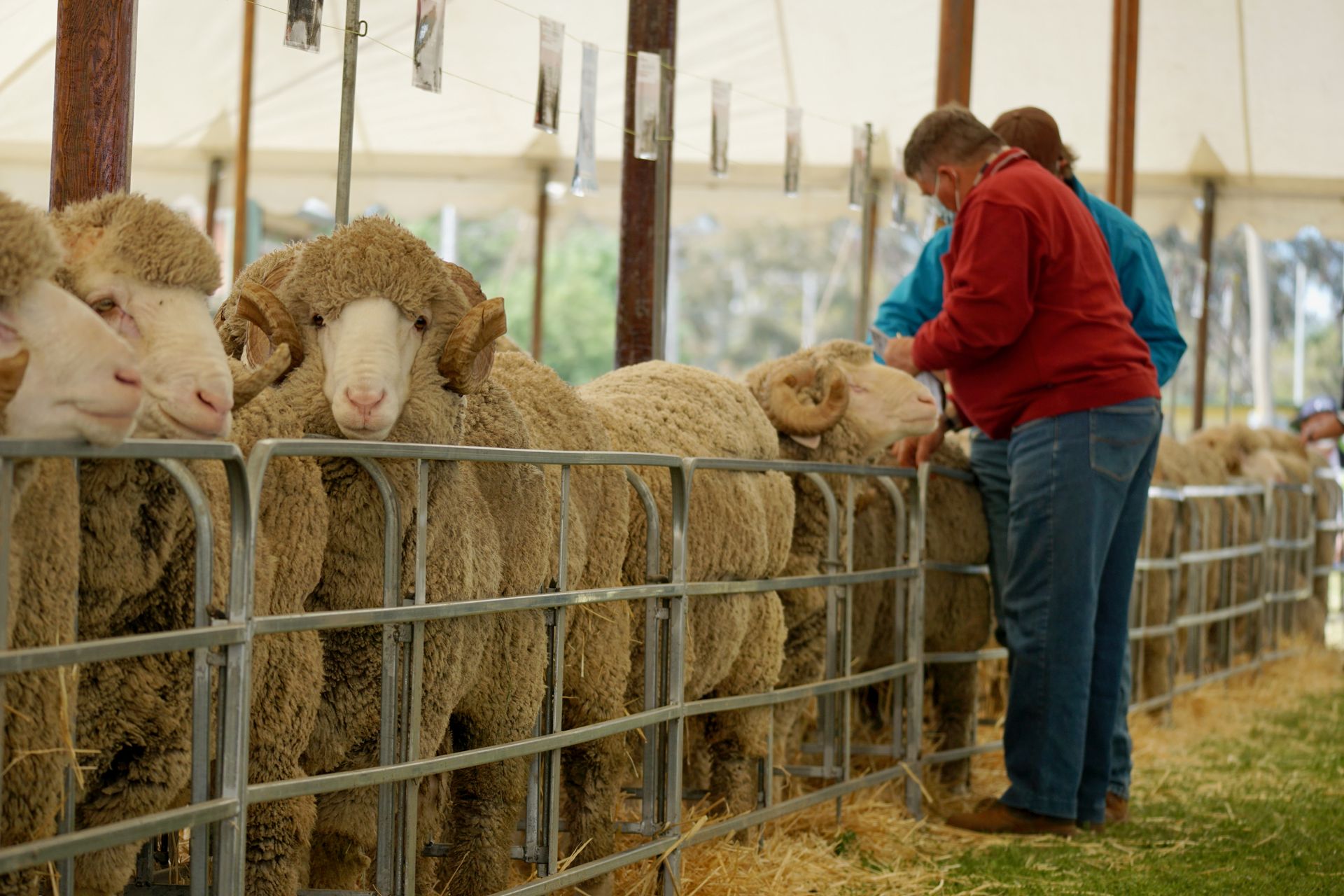 2021 Ram Sale