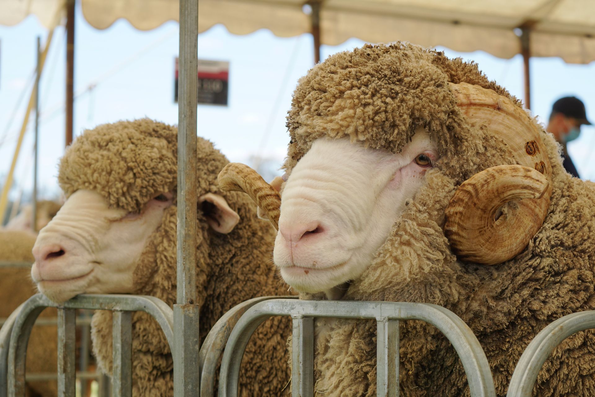 2021 Ram Sale