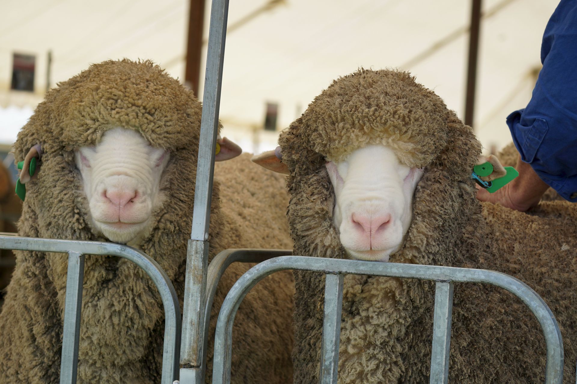 2021 Ram Sale