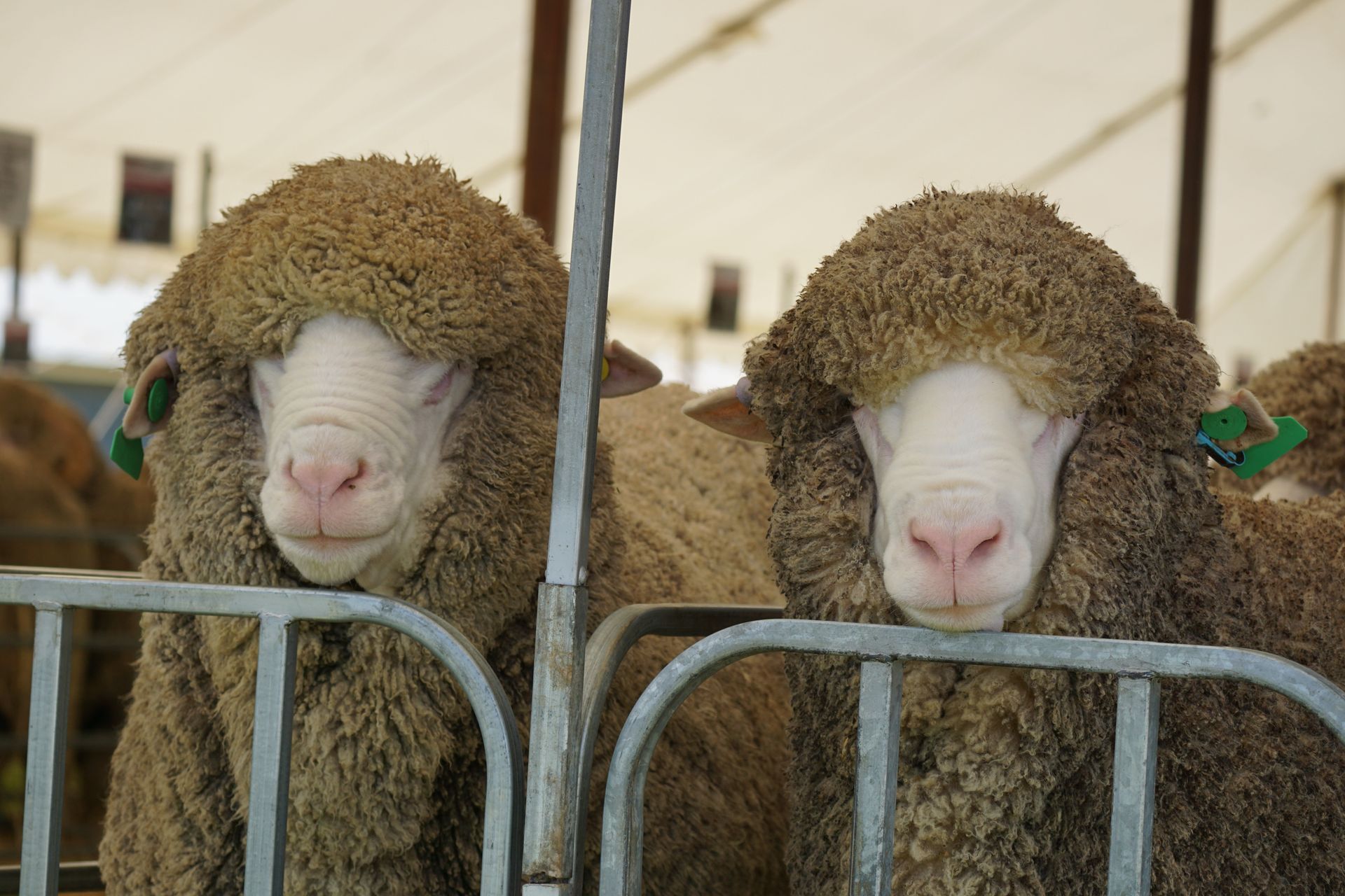 2021 Ram Sale
