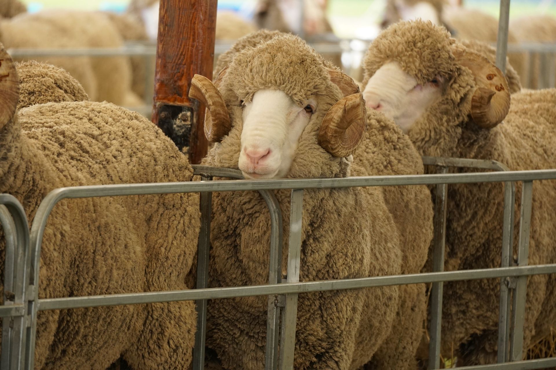 2021 Ram Sale