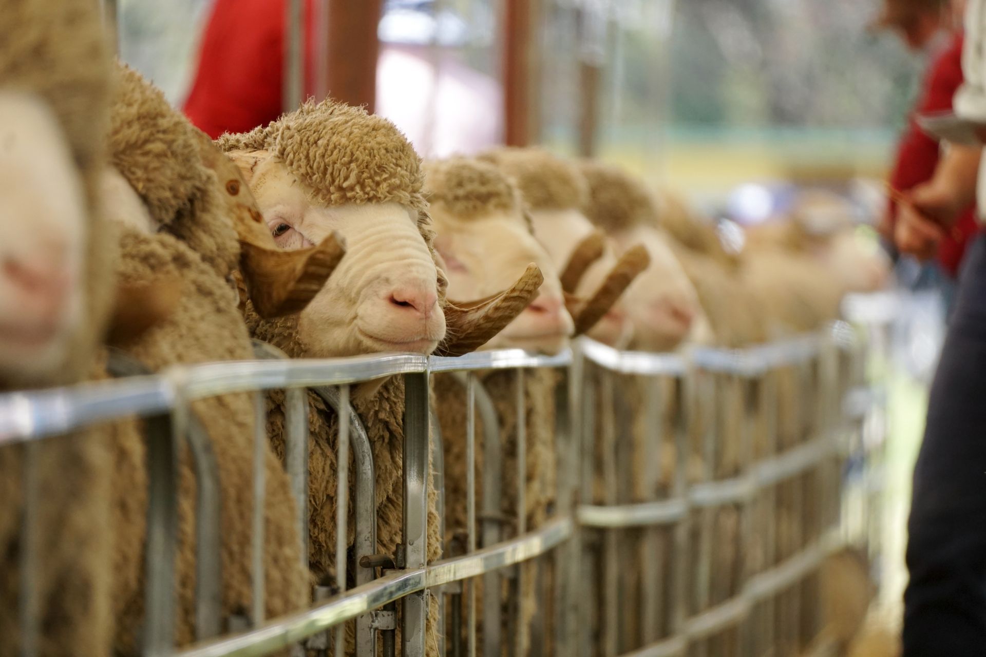 2021 Ram Sale