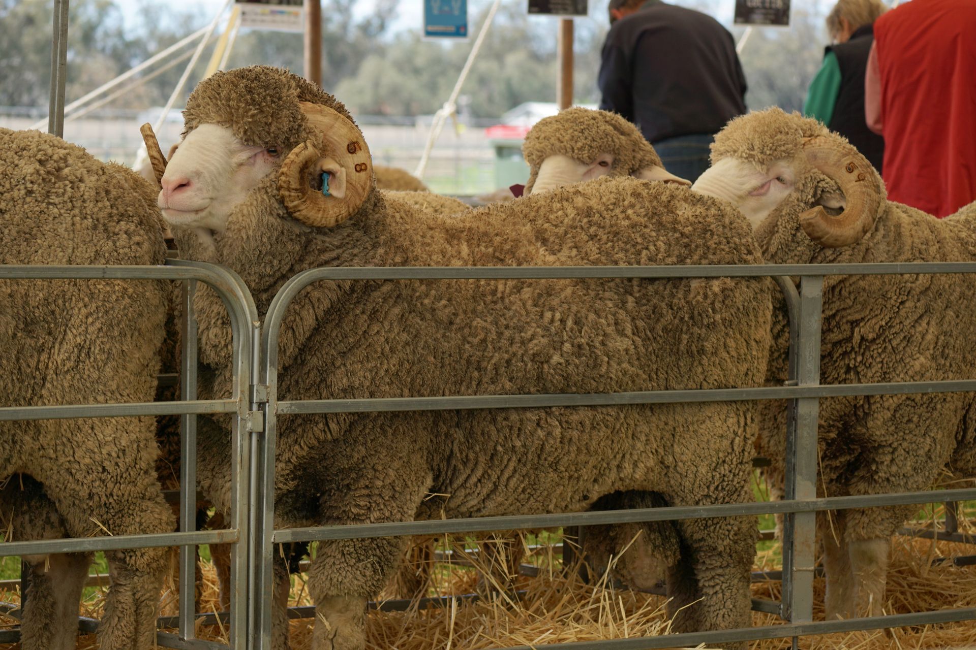 2021 Ram Sale