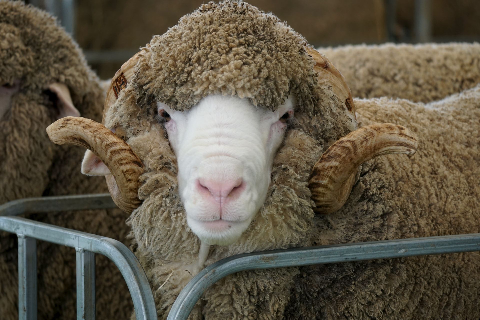 2021 Ram Sale