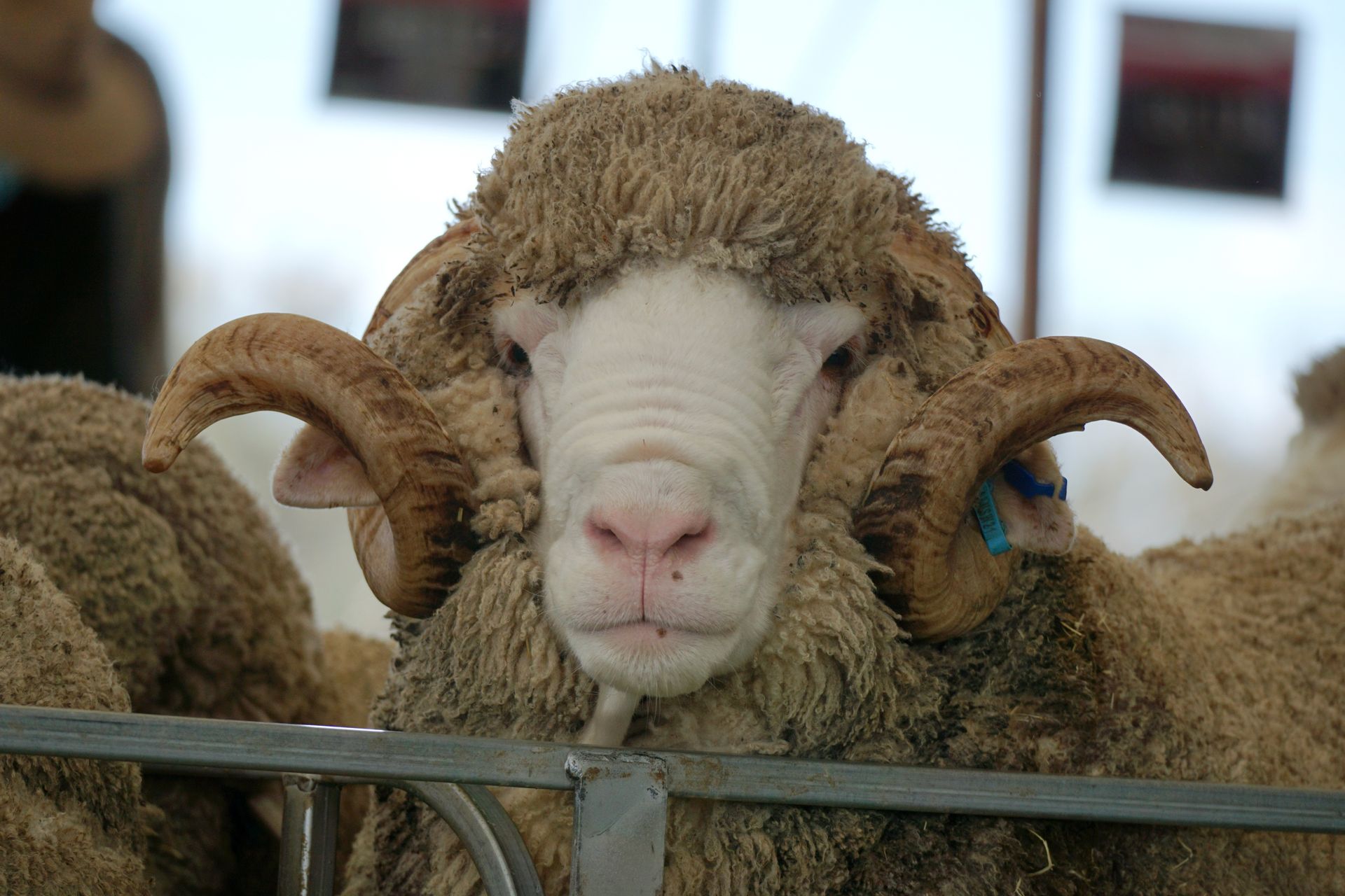 2021 Ram Sale