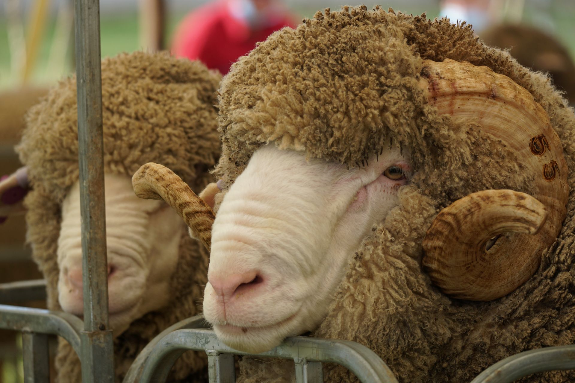 2021 Ram Sale