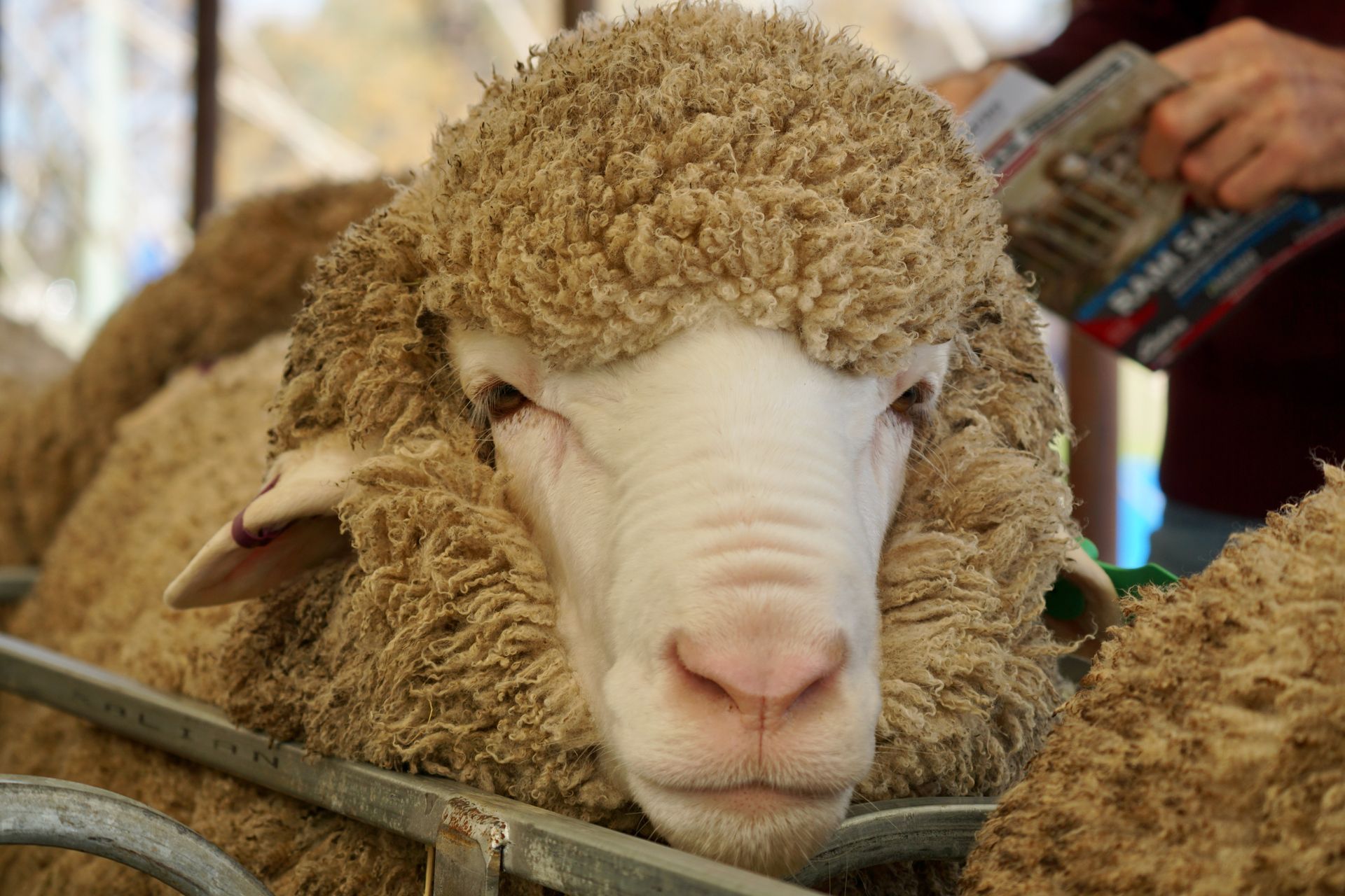 2021 Ram Sale