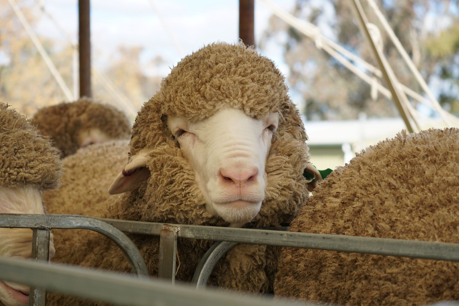 2021 Ram Sale