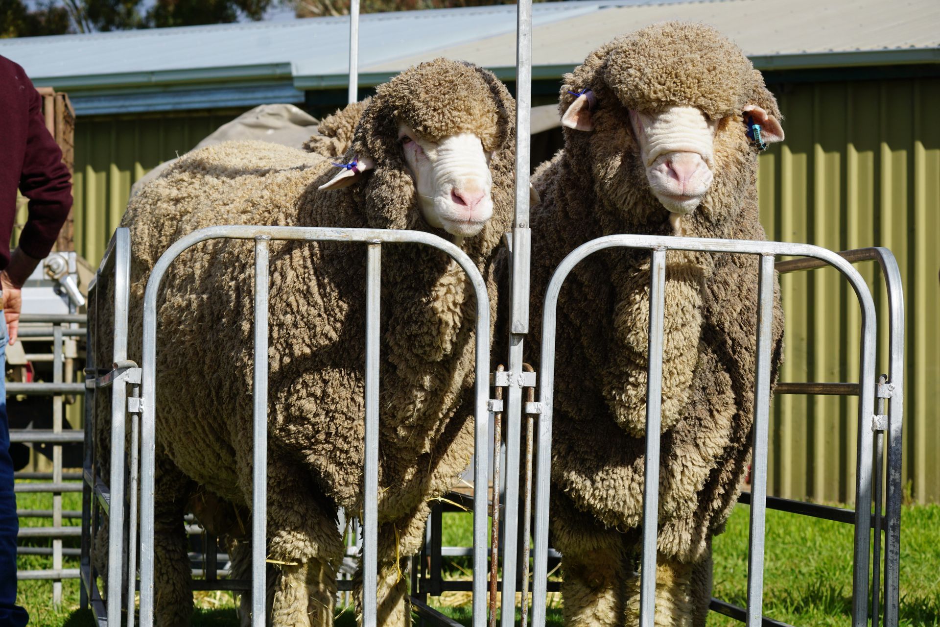 2021 Ram Sale