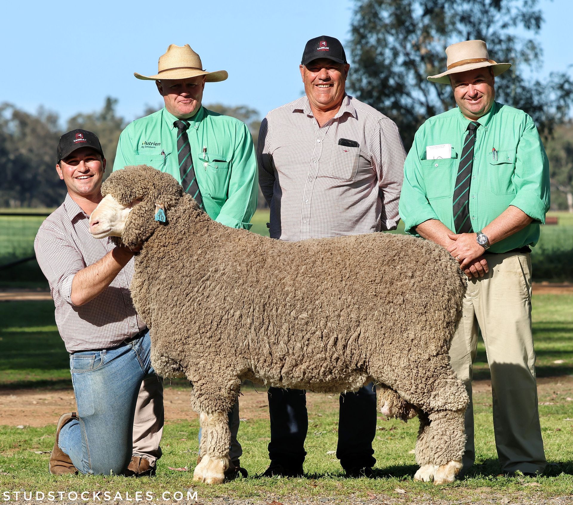 man holding a sheep