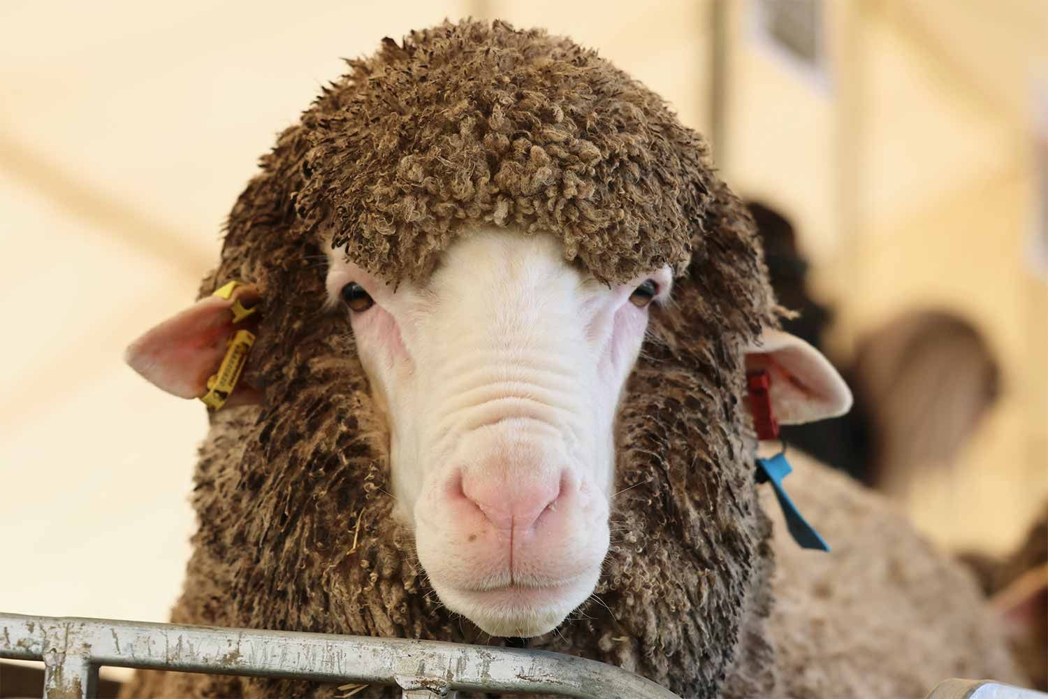2022 Ram Sale