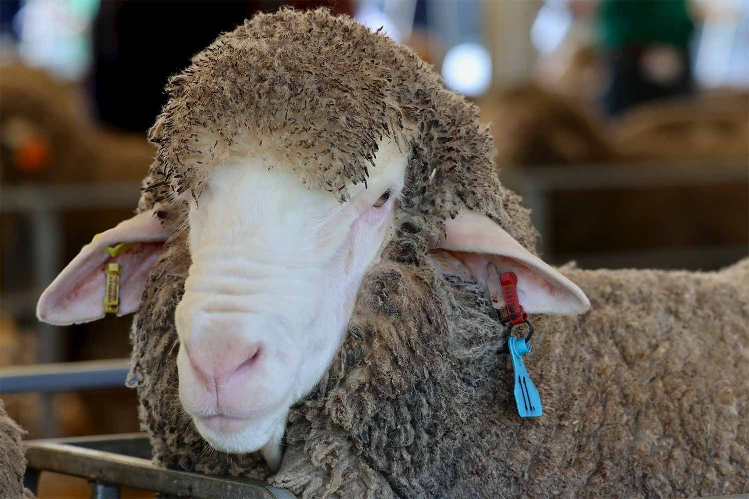 2022 Ram Sale