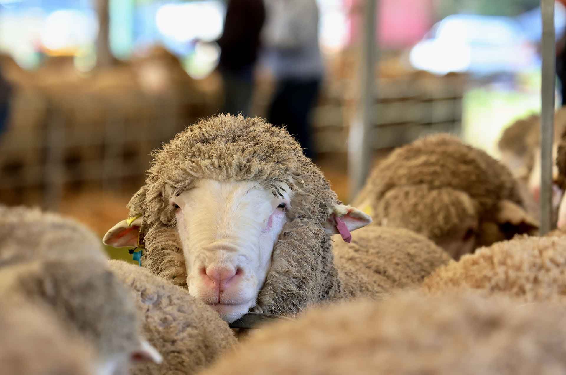 2022 Ram Sale