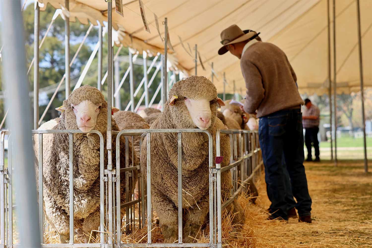 2022 Ram Sale