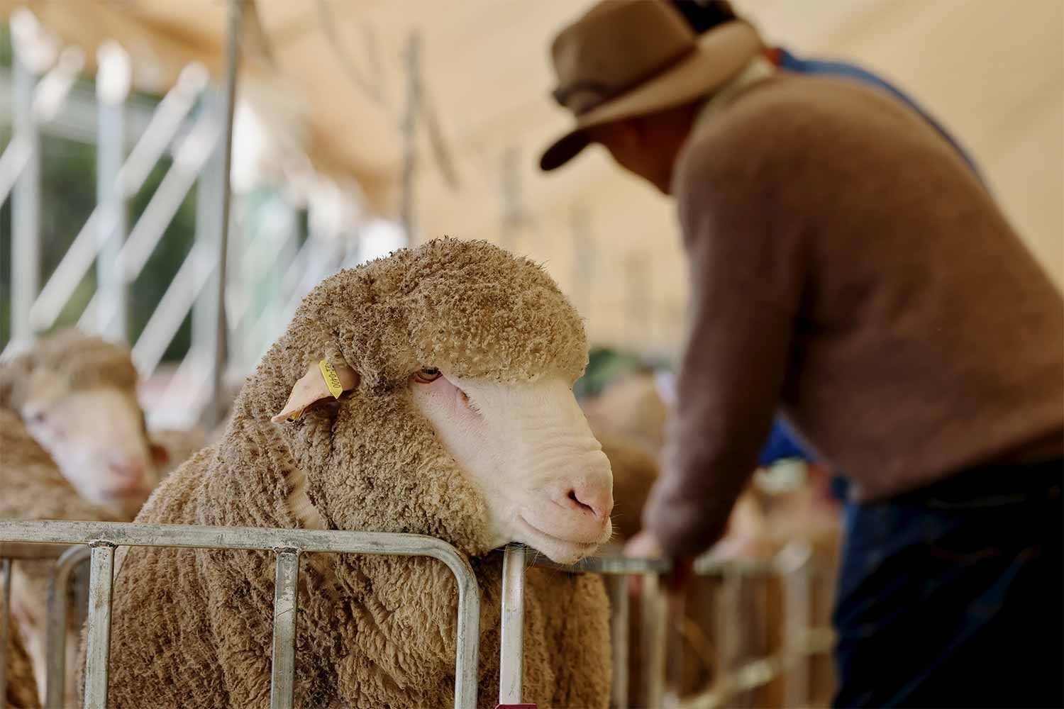 2022 Ram Sale