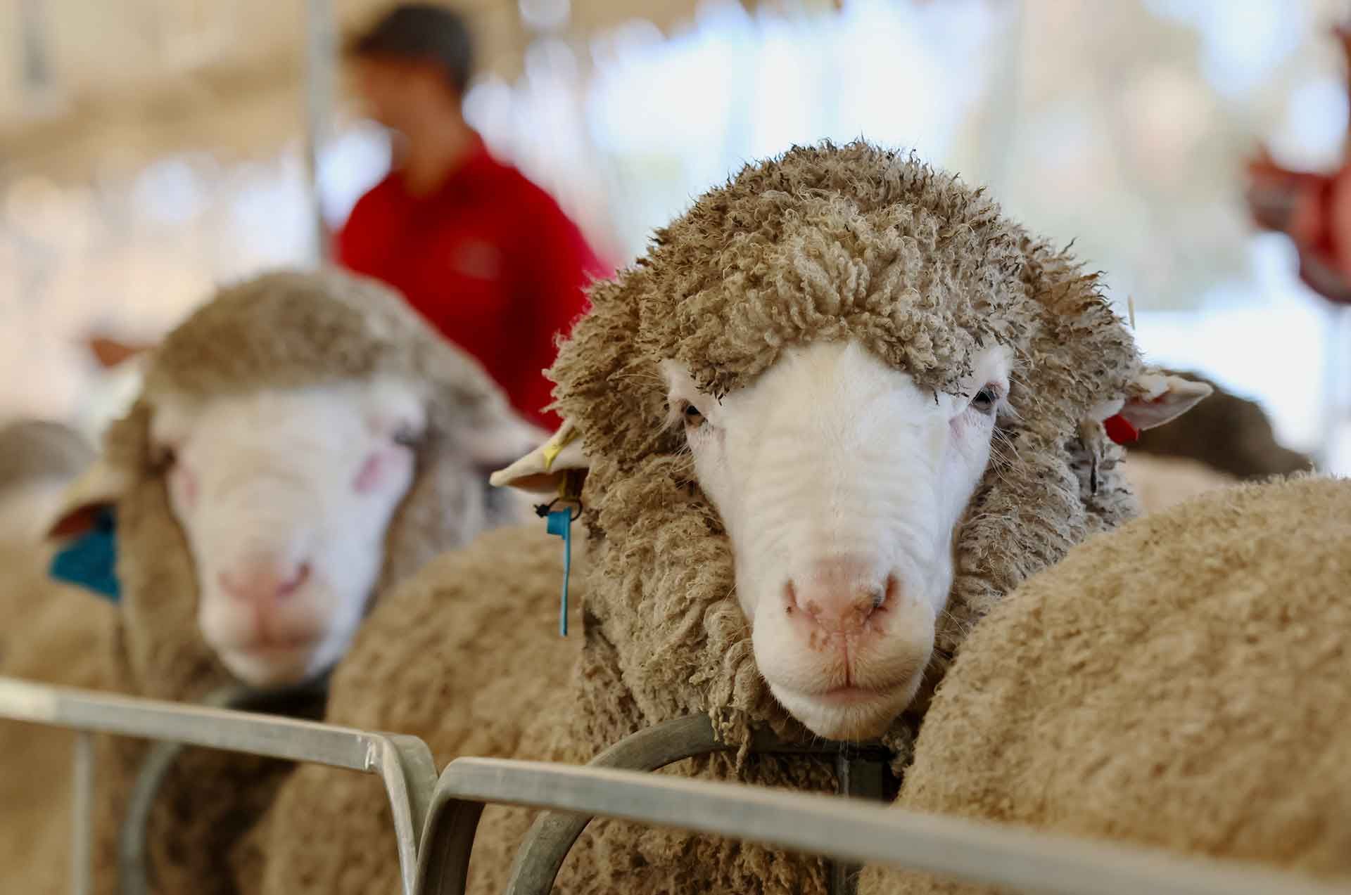 2022 Ram Sale