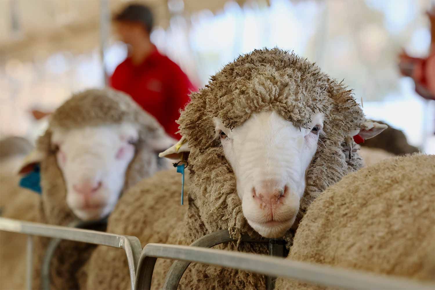 2022 Ram Sale
