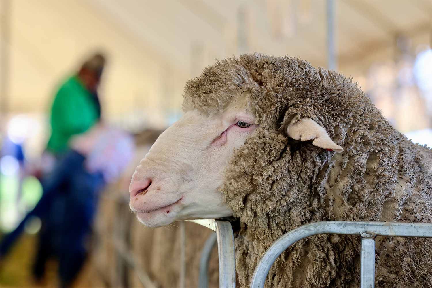 2022 Ram Sale