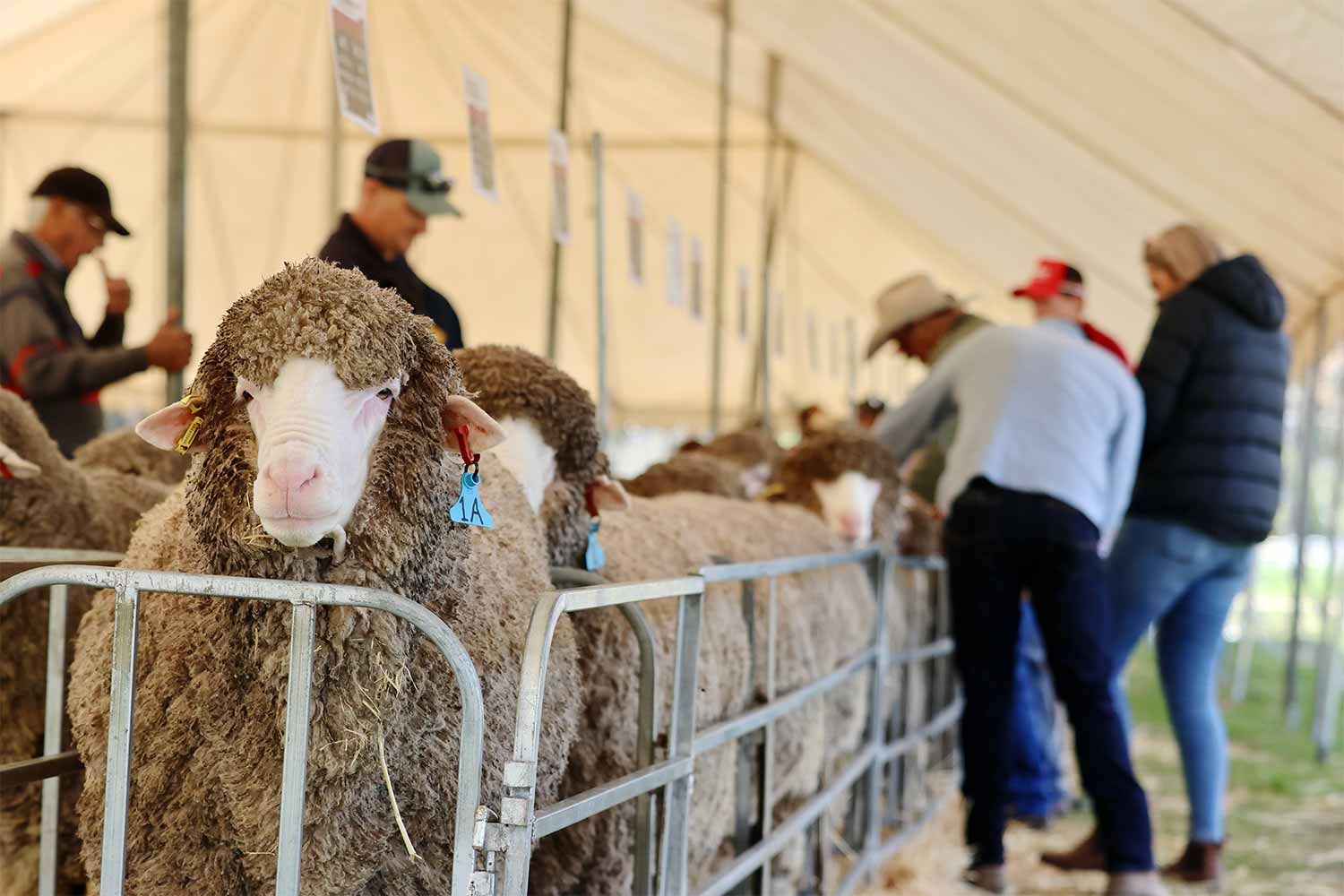 2022 Ram Sale