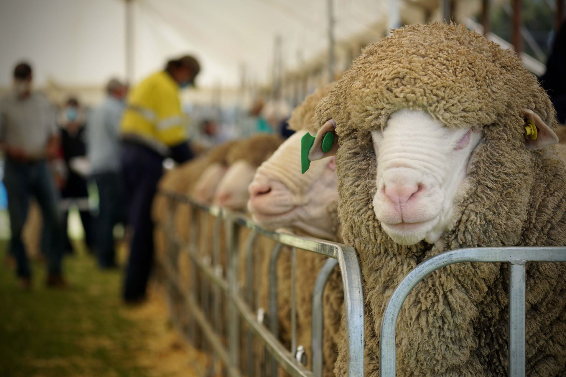 2022 Ram Sale