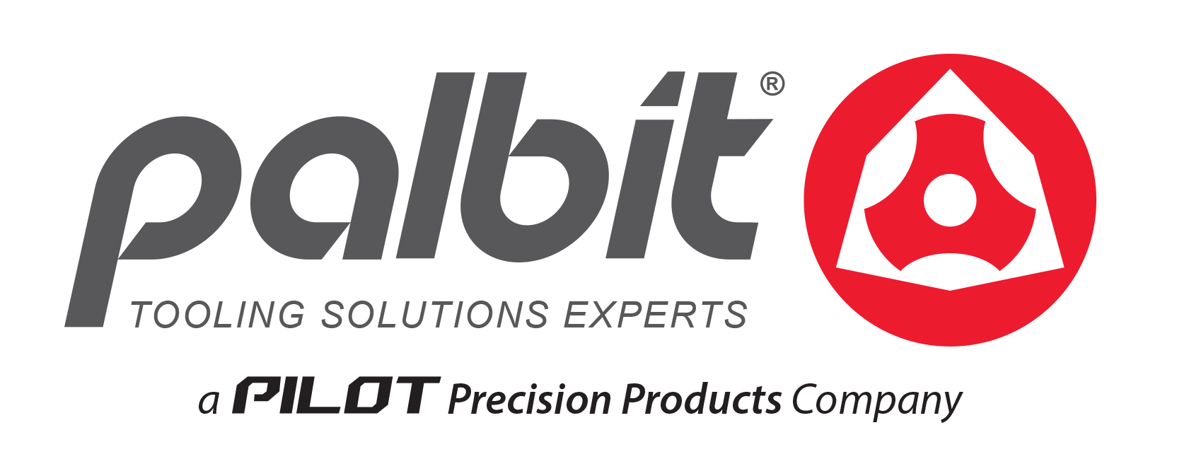 HighPrecision Carbide Cutting Tools Palbit