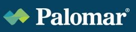 The Palomar logo featuring a blue and yellow gradient abstract wave icon next to the word 