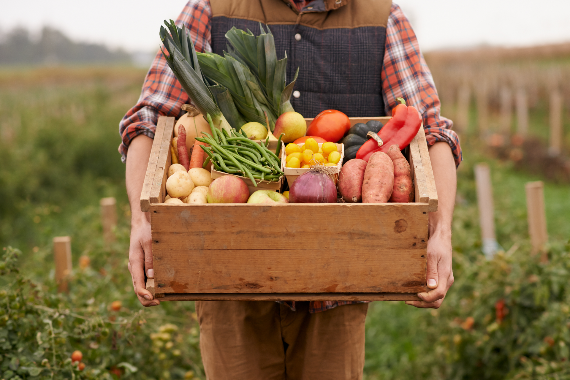 A person stands in a field holding a wooden crate filled with fresh, colorful vegetables and fruit.
