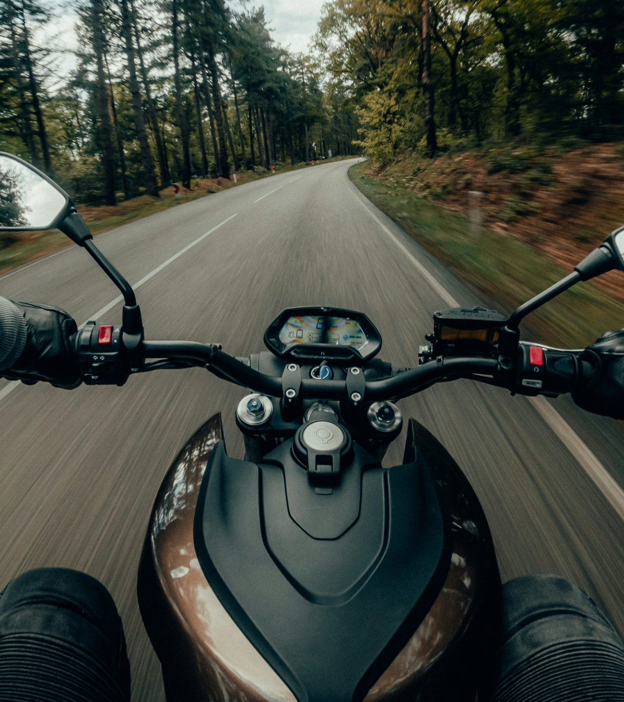First-person view from a motorcycle rider traveling along a winding road through a forest.