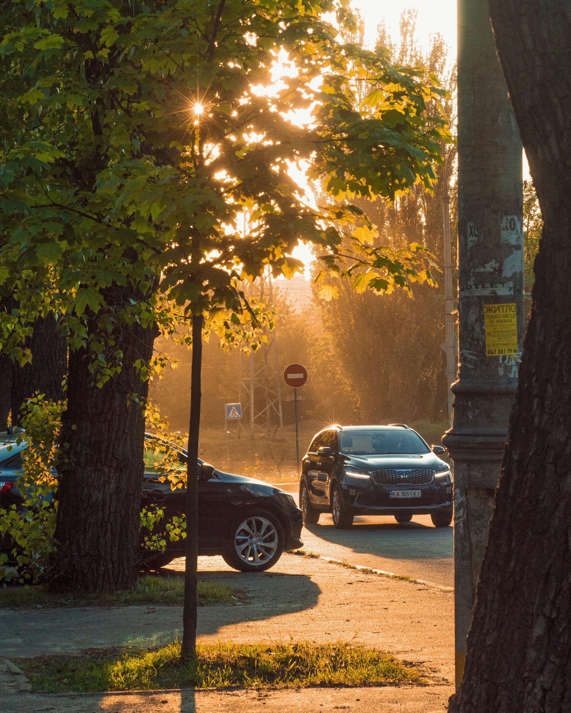 Sunlight filters through trees in a park, illuminating a street with two cars parked near a utility pole.
