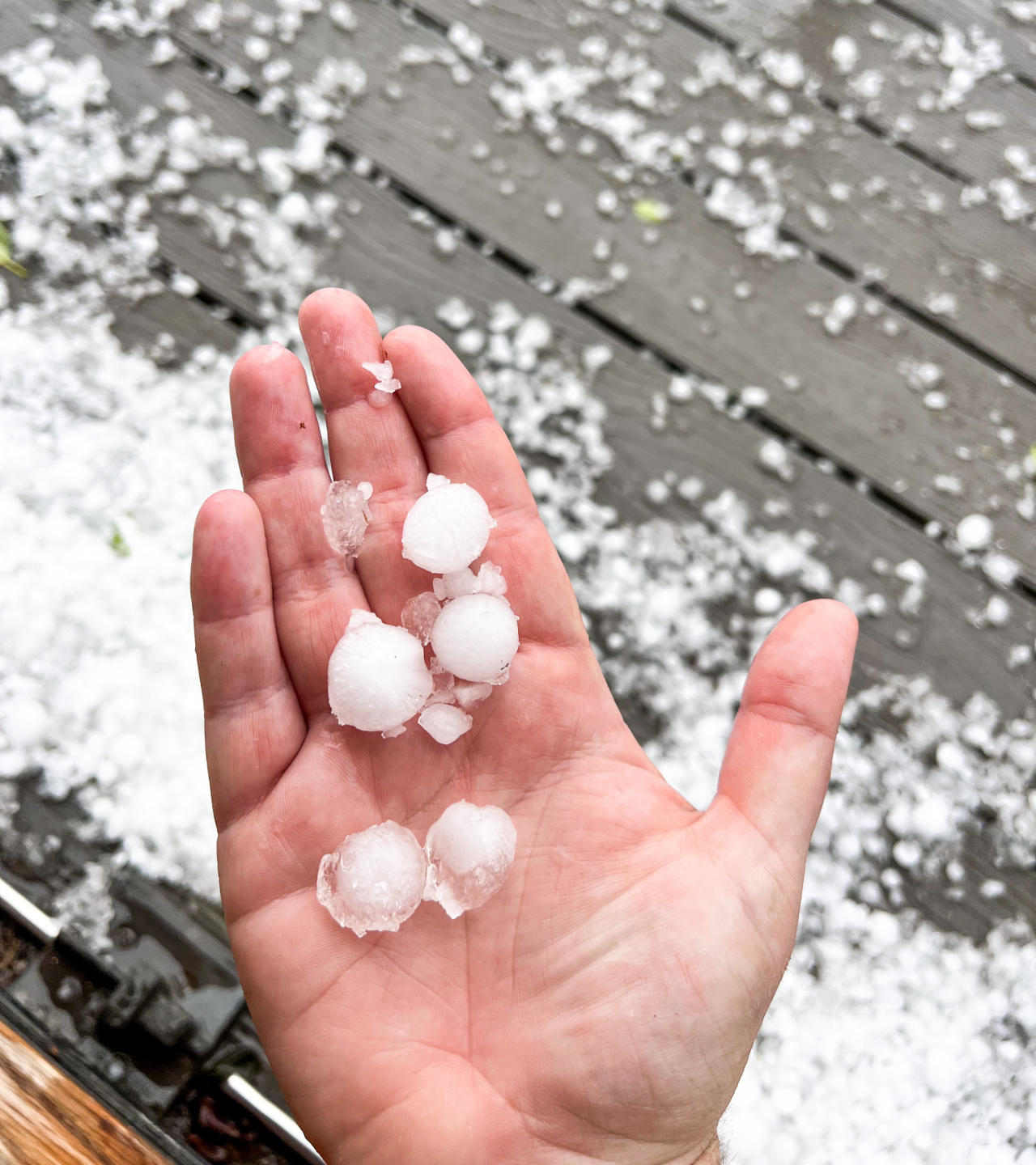 A hand holds several rounded pieces of hail against a background of a deck covered in scattered hail stones.