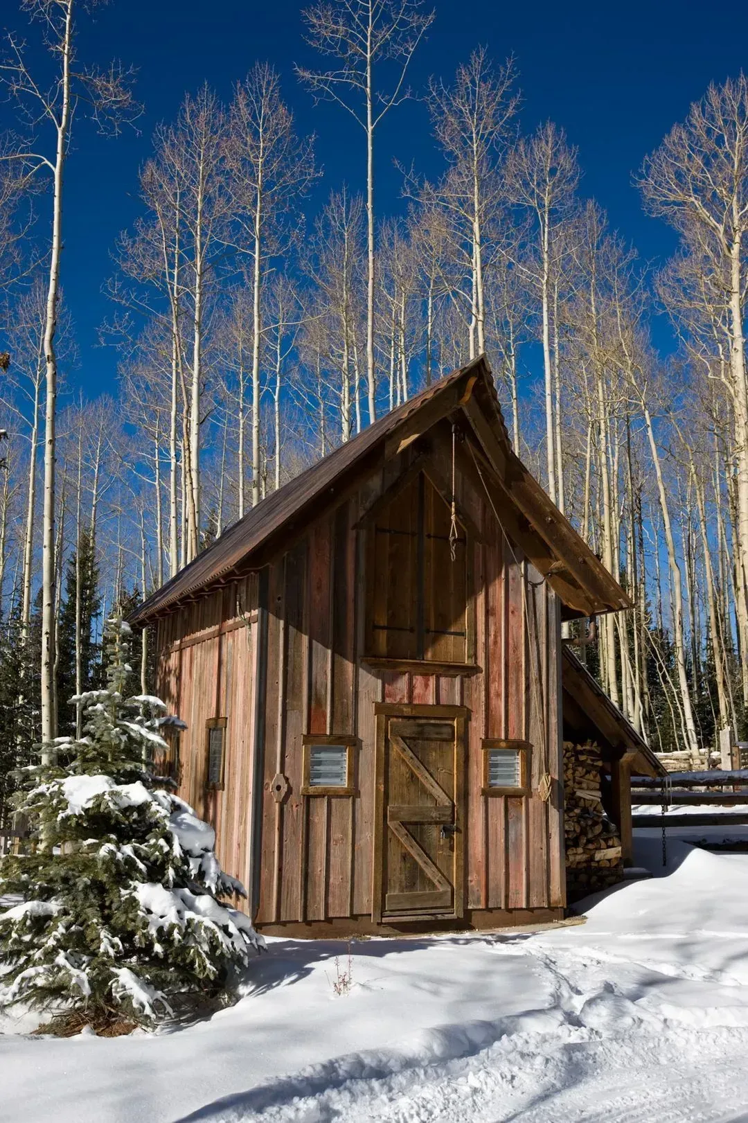 Wooden cabin in snowy landscape with tall, bare trees against a blue sky.