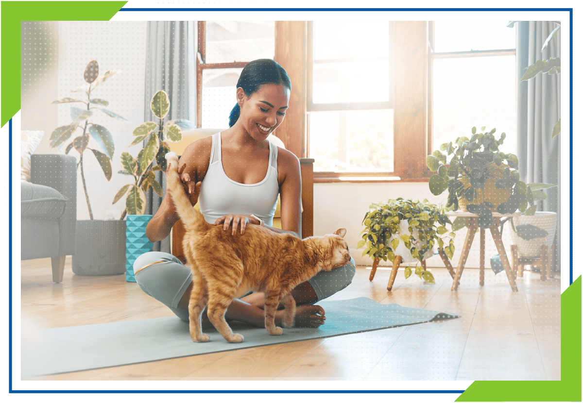Pet Insurance - SHBG | Insurance Services Pet Insurance - SHBG | Insurance Services