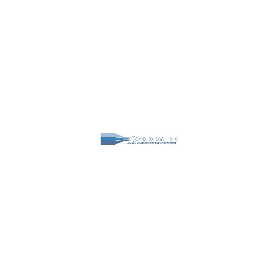 Ceccato logo