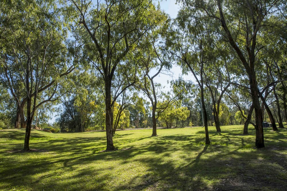 Natural Landscape — Tyre Service in Springsure, QLD